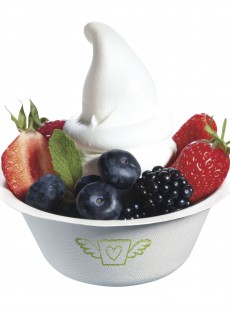 marguerite-du-pre-invente-des-glaces--bio-sans-matiere-grasse-0113264